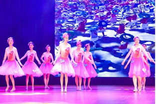 安惠公司献艺南通市工商联庆祝改革开放40周年文艺汇演