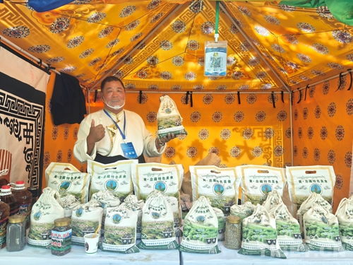 热贡文化耀拉萨，青藏携手谱新篇——热贡文化推介会暨文艺演出在拉萨成功举办